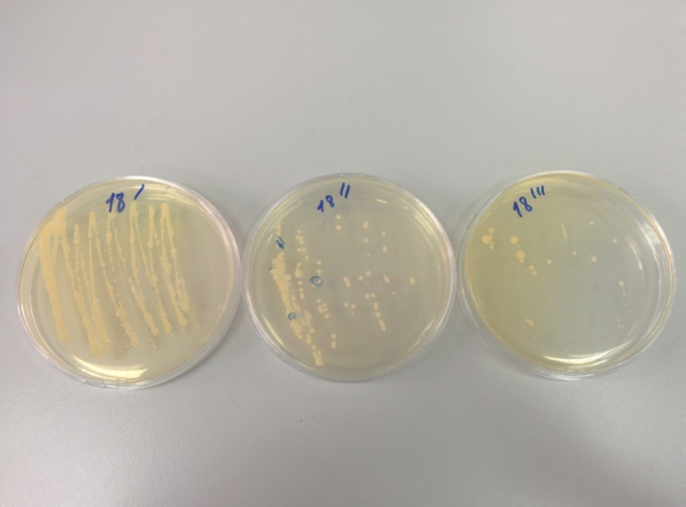 Общая информация Общая информация