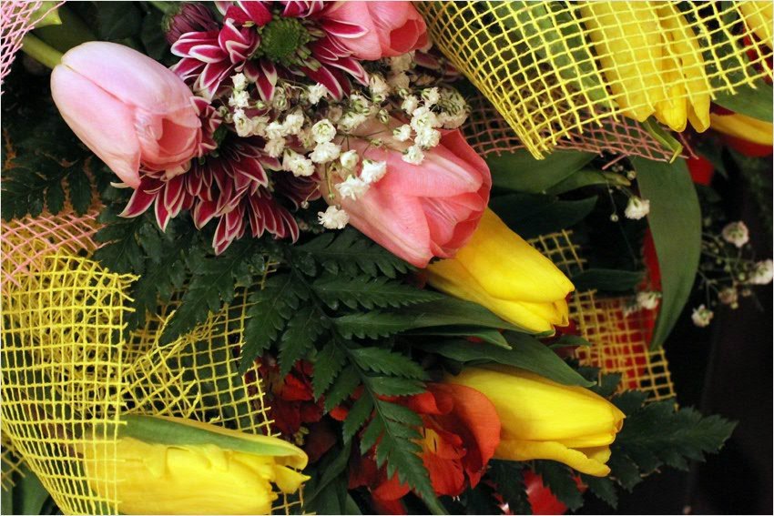 Конкурс КФУ 'Женщина года' Конкурс КФУ 'Женщина года'