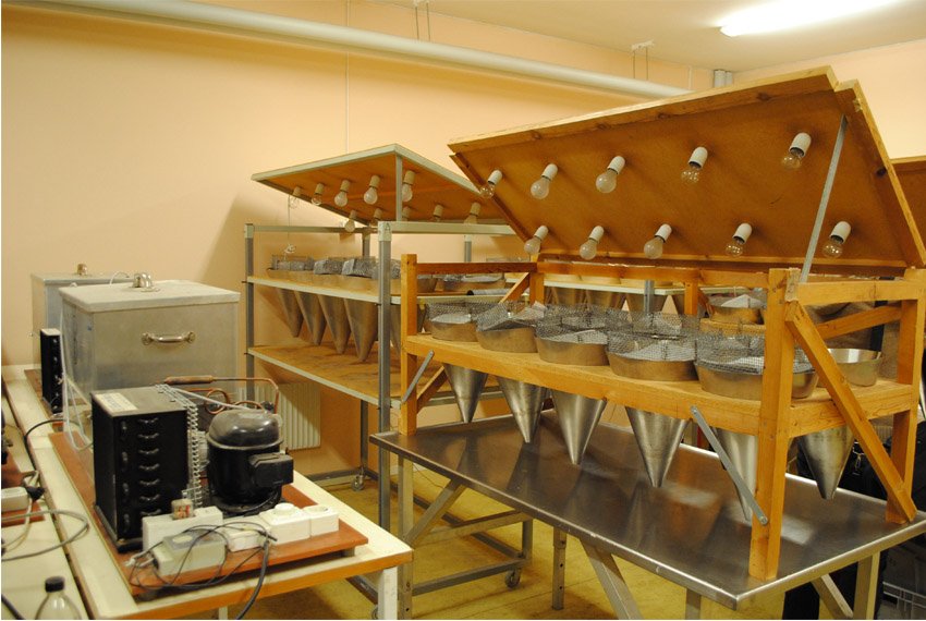 ������������� ����� �� ����������� ��������� �������� (�������, ������)