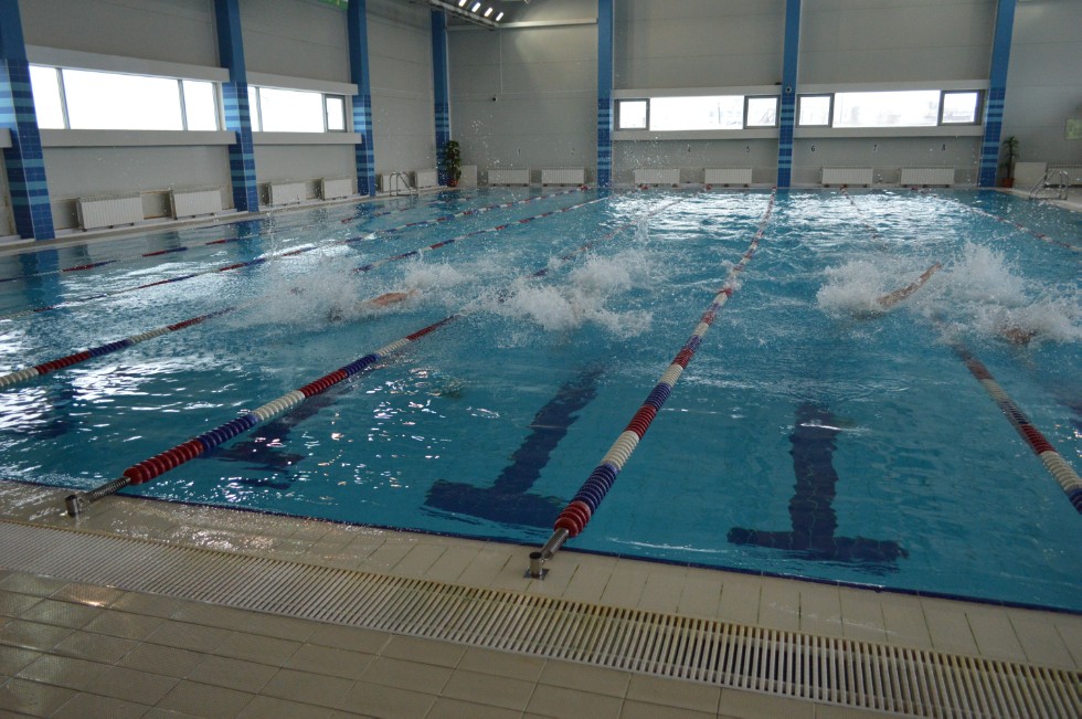 � �������� ���� - �������� ���