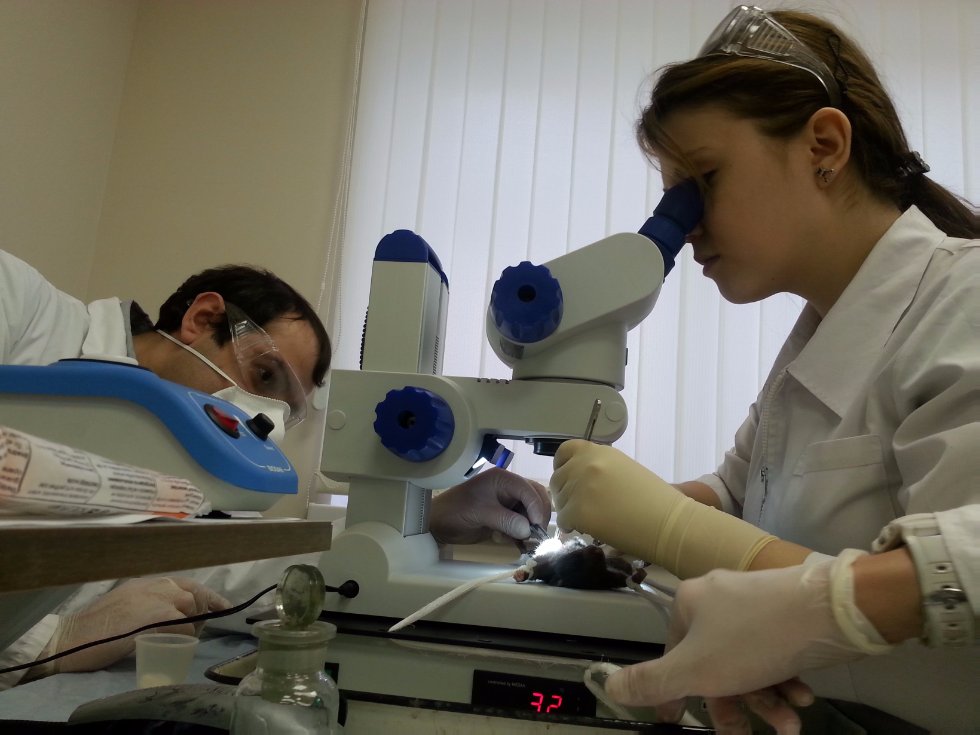 Scientific equipment Scientific equipment