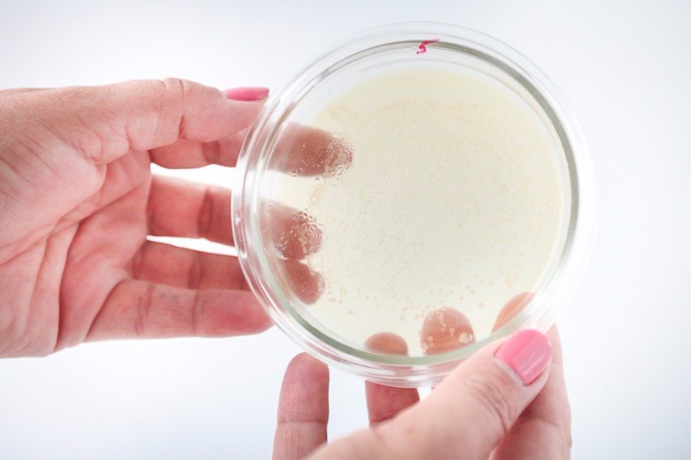 Microbiologists of Kazan University Think of New Ways to Fight Antibiotic-Resistant Pathogens