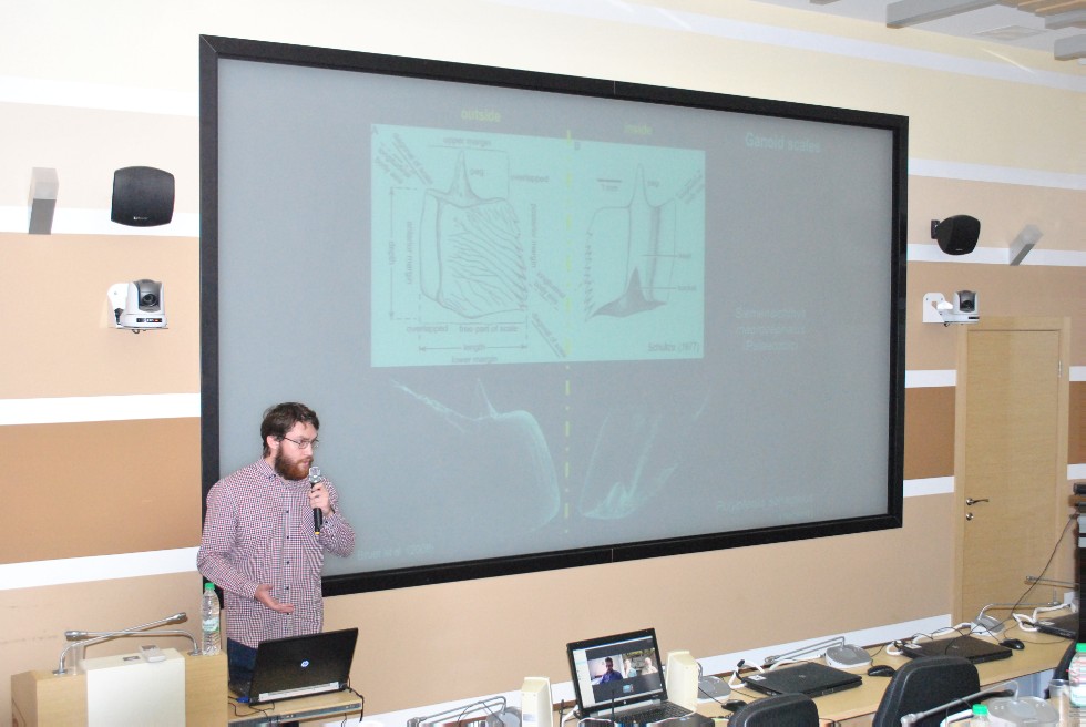 Online defense of a master's thesis