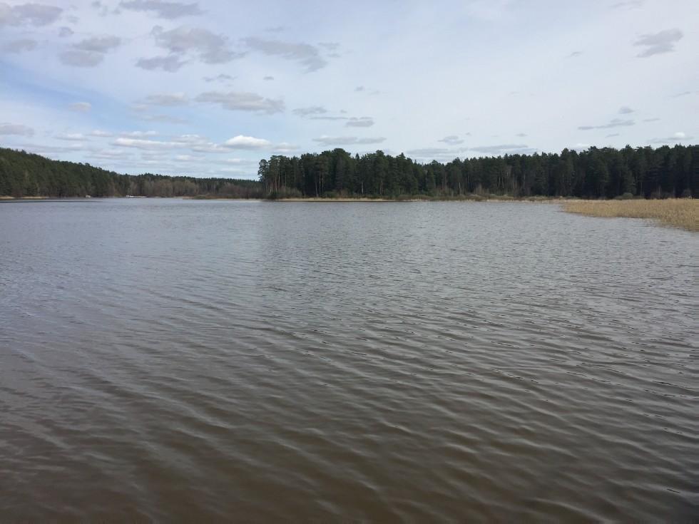 ������-��������������� ����� '������'