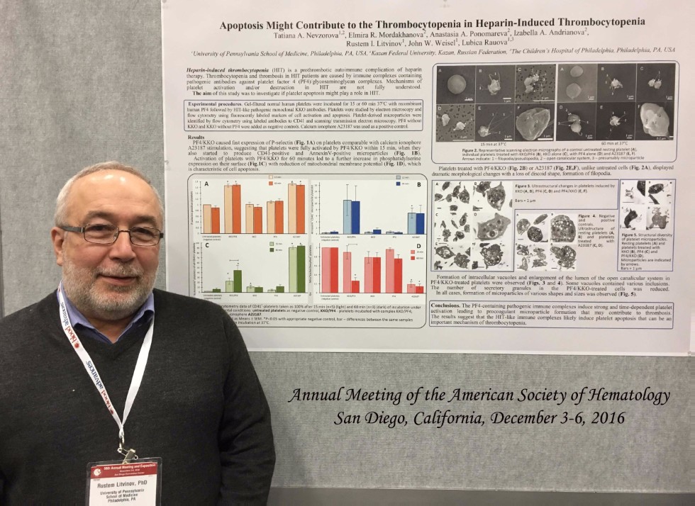 ������������ �����������