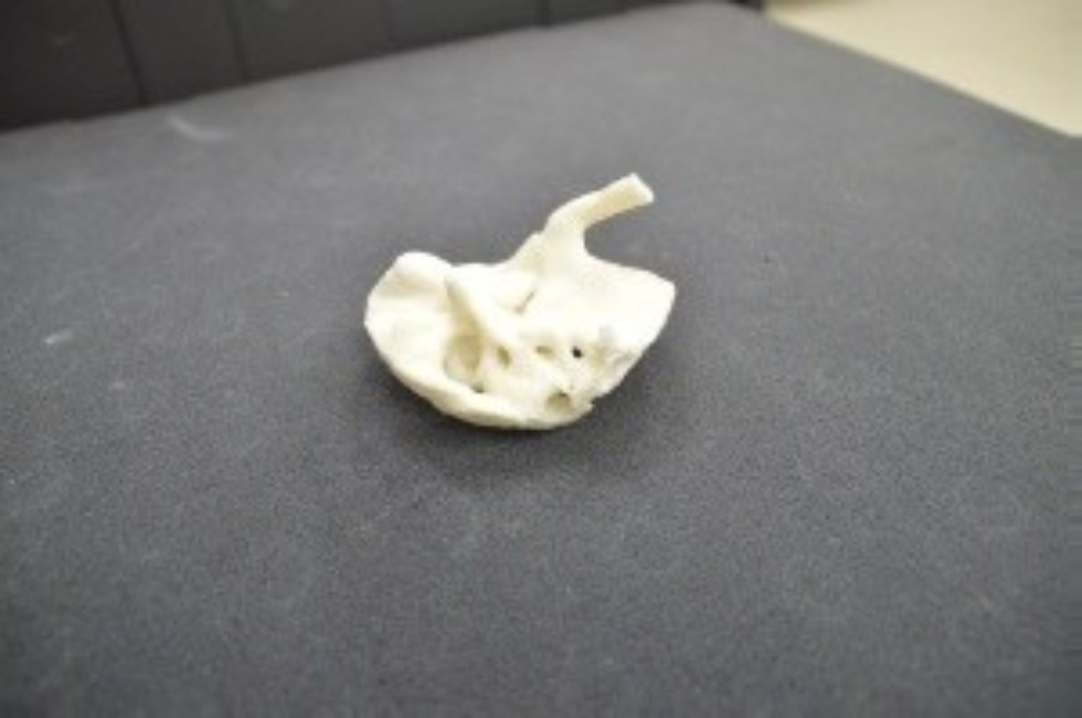 ������������ ,additive manufacturing, 3d print, biomedical engineering