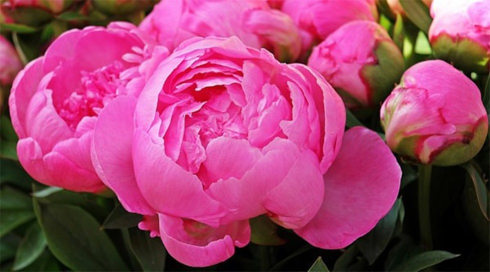 ��������� ������� ����������� ��������� ����� ������� ���������� � ���� ��������!!!