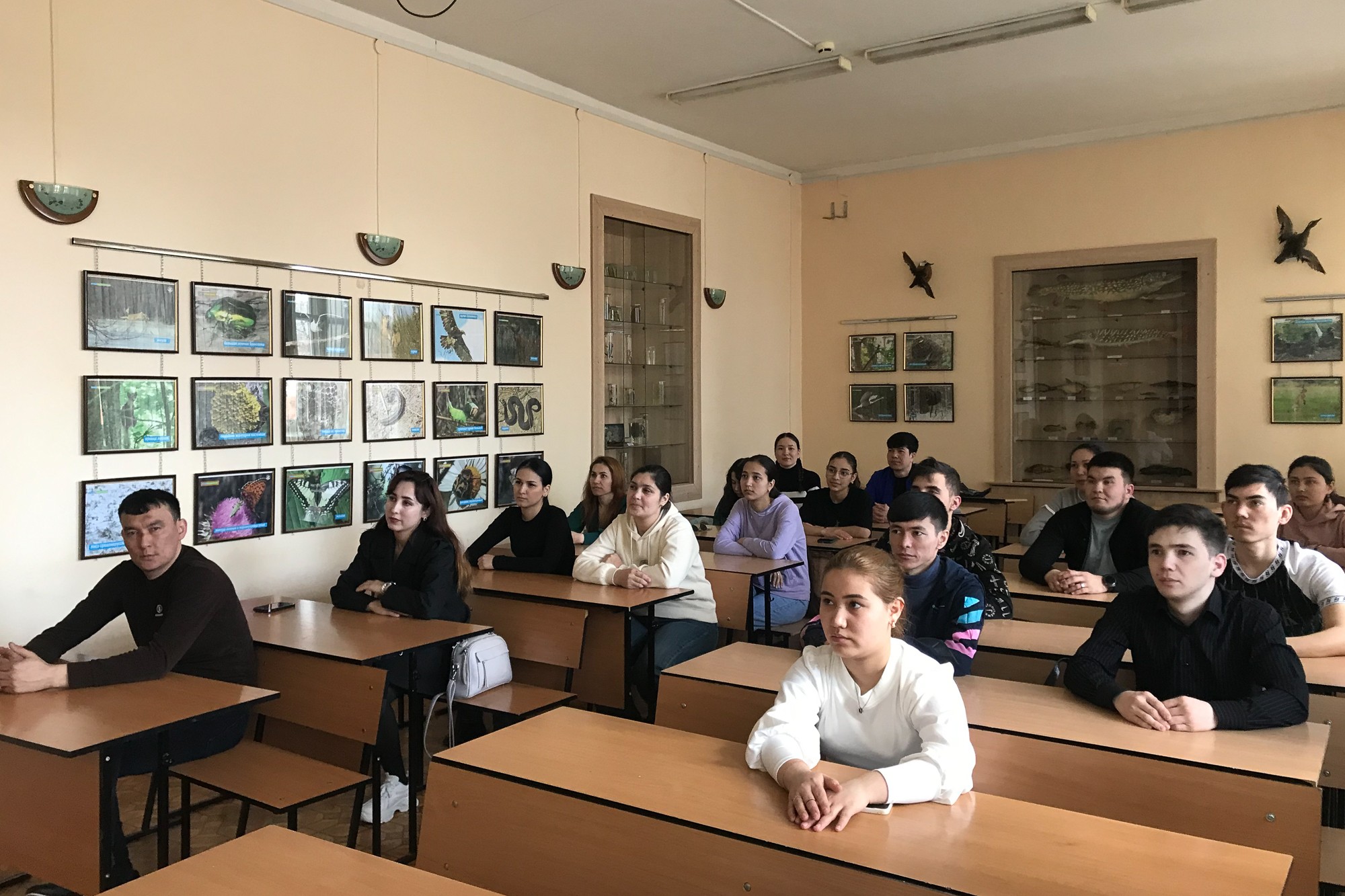 Прошли кураторские часы на отделении математики и естественных наук Прошли кураторские часы на отделении математики и естественных наук