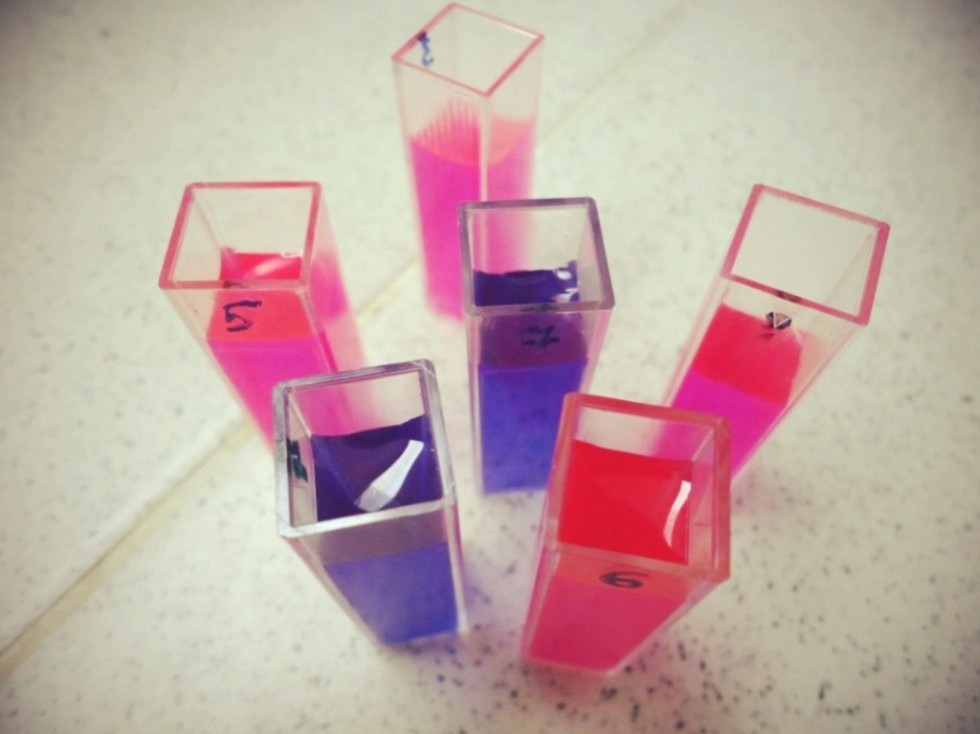 Общая информация Общая информация