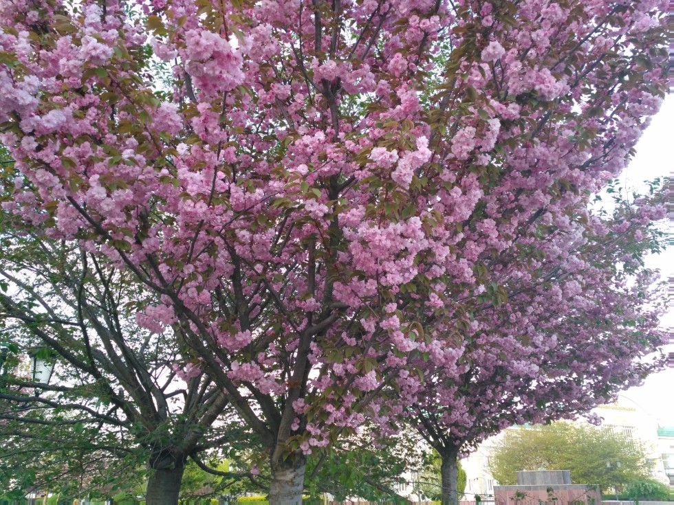 � ������� ������ ����������� ������-����������������� ������� '� ���� �����, ����� � ����'