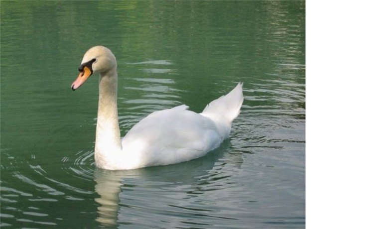 ��������� ���� �����-�������� ������