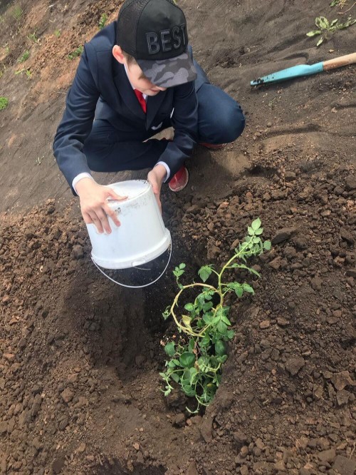 Аналитическая справка о выполнении программы 'Формирование биологической грамотности школьников' за первое полугодие 2023 года Аналитическая справка о выполнении программы 'Формирование биологической грамотности школьников' за первое полугодие 2023 года