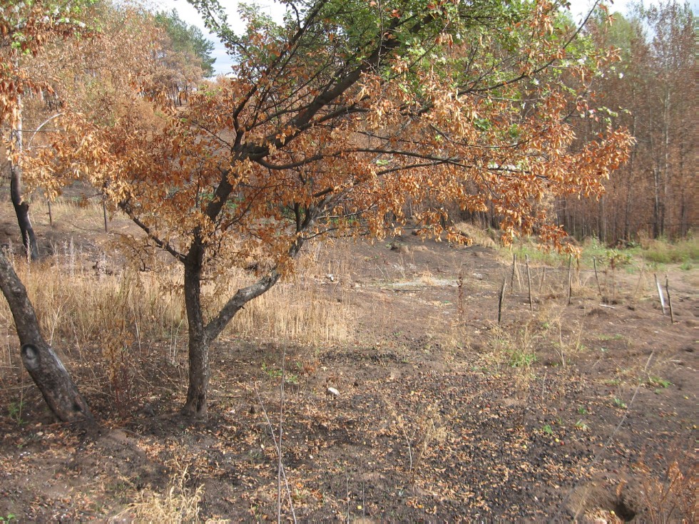 Ботанический сад К(П)ФУ Ботанический сад К(П)ФУ