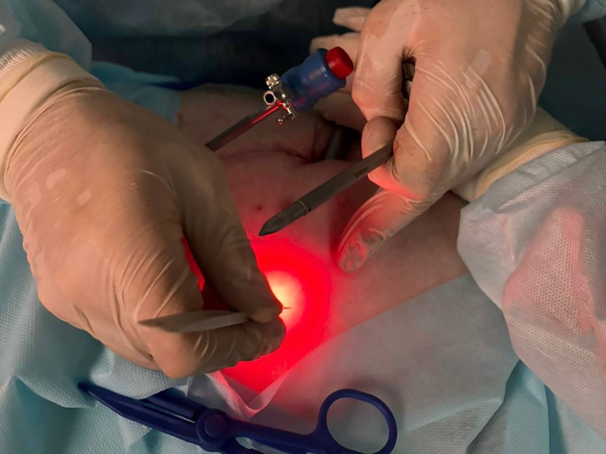 Из жизни студенческого кружка Из жизни студенческого кружка