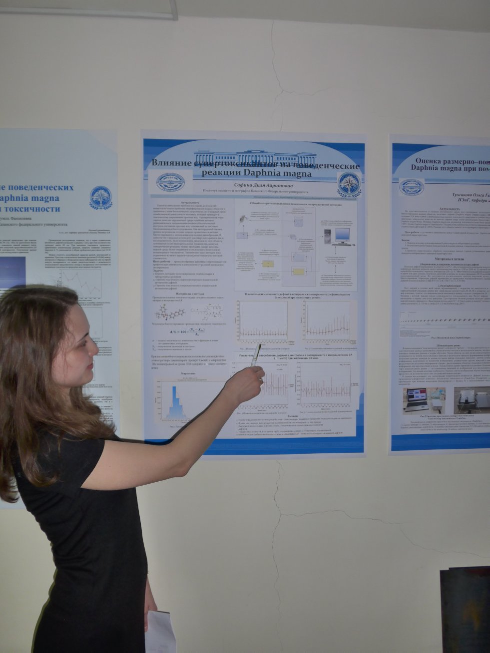 �������� ������������ ������� ����������� ��������� �������� � ���������, ������ '���������� ��������'.