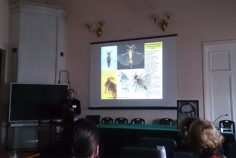 ���������� ��������� �������� � ������� ������������ ���������� �������� ���� ������������ �� ������������� ����������� � ������������� ��������� ��� � �����-����������