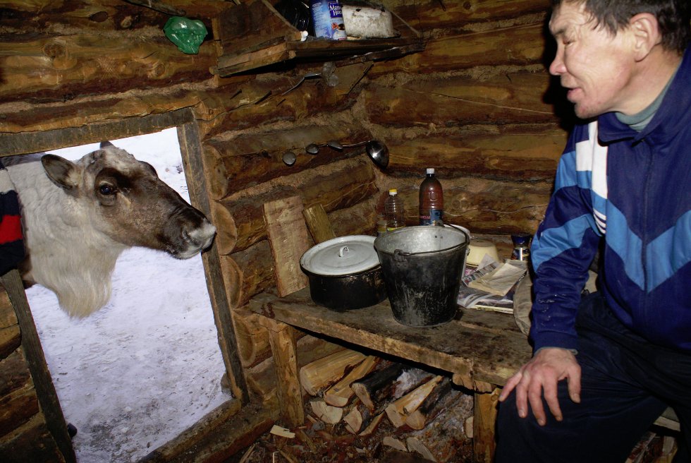 ������ � ���� ����������� ���� �������� ���������