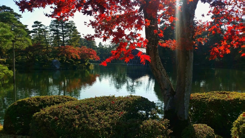 �������� ��� ��� ������� ������� � ��������� �����-���������� ���������� �������