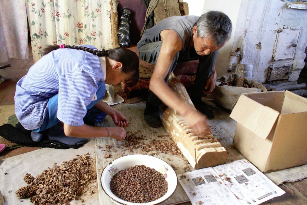 ������ � ���� ����������� ���� �������� ���������