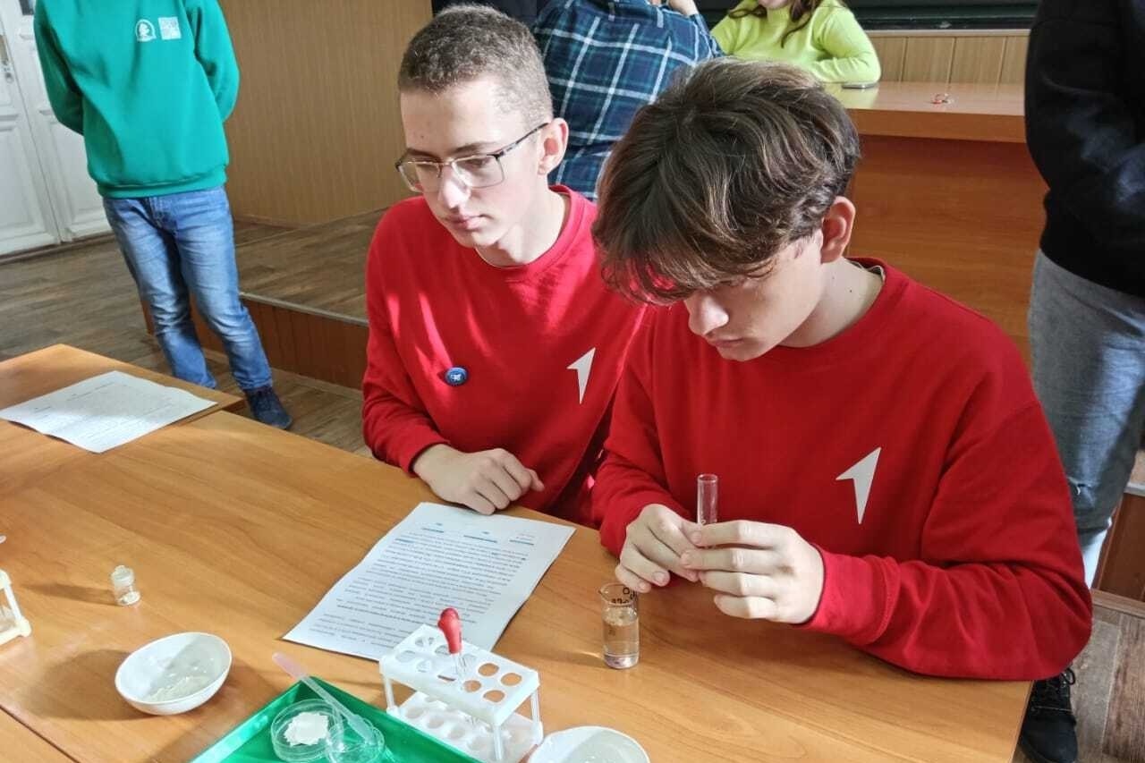 10 ноября студенческий научный кружок 10 ноября студенческий научный кружок