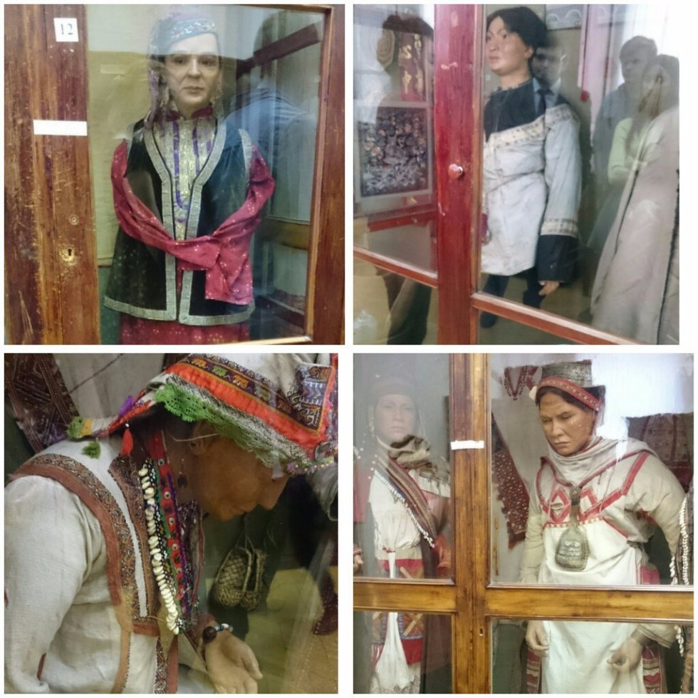 �����������-������������� �������� ��������������� ����� ���