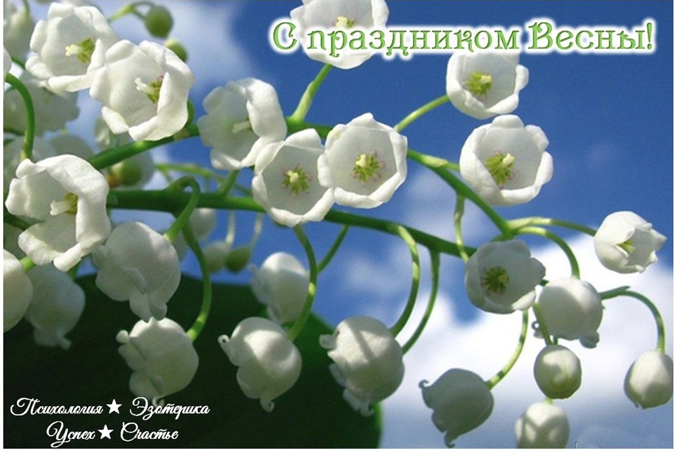 �������� ������������ ����������� �� ������� ����������� �����������