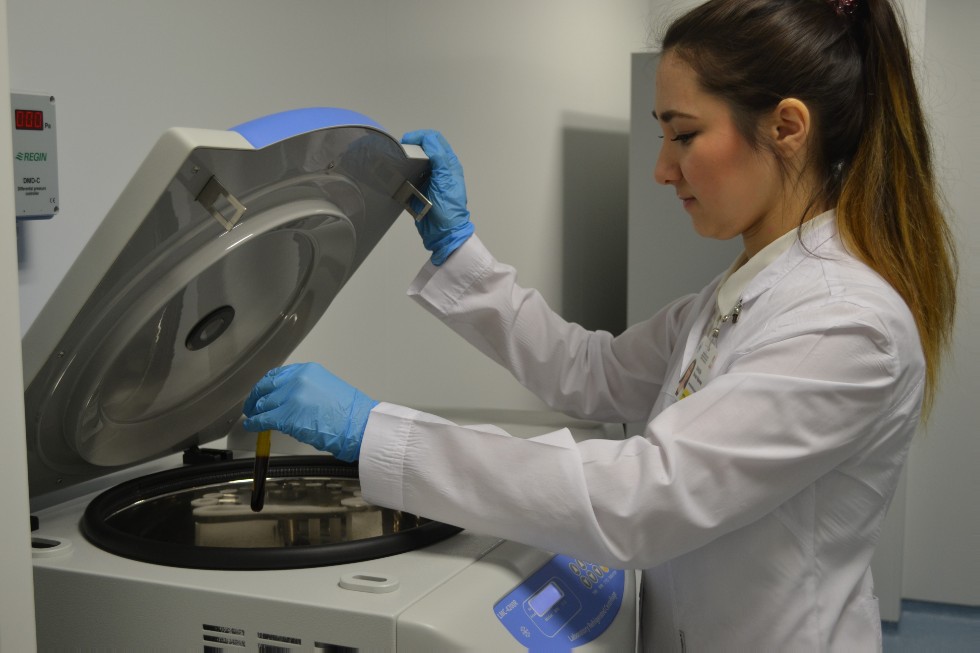 �������� ��������: '�������� ������ ����� �������� �����, ���� ������'