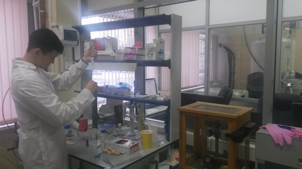 ������� ������������