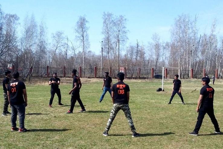 Чемпионат по крикету Чемпионат по крикету