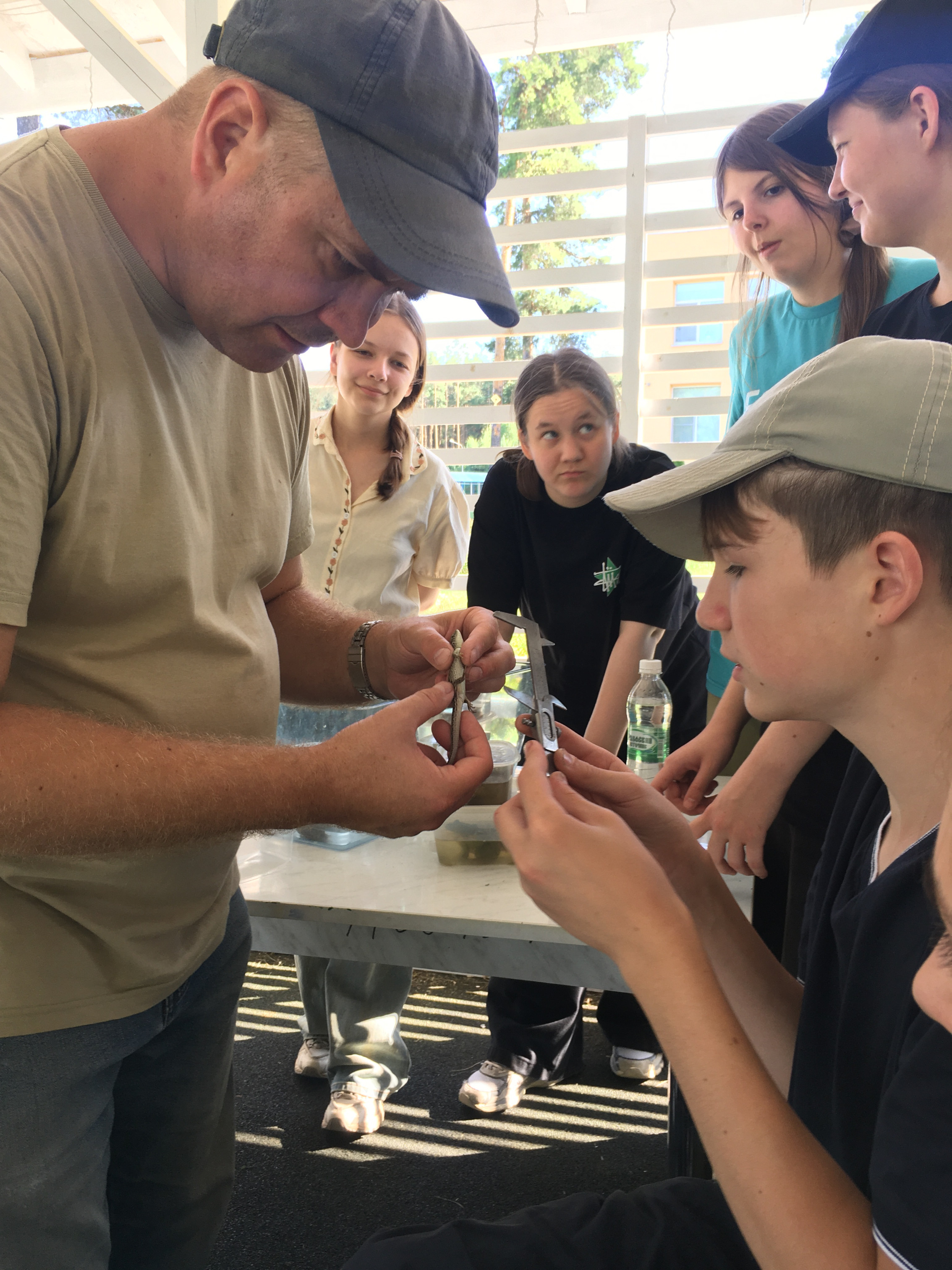 ������������������ ������ �������������� ������� ������������ � ����� ,��������, ������-����������������� � ��������� ������������, ������-�����