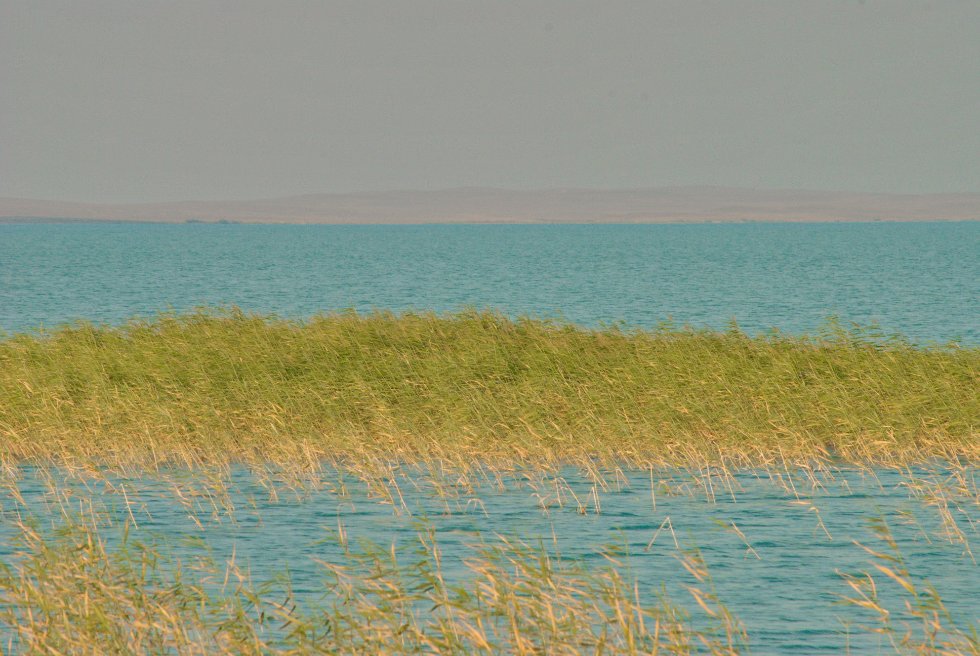 ����� ������