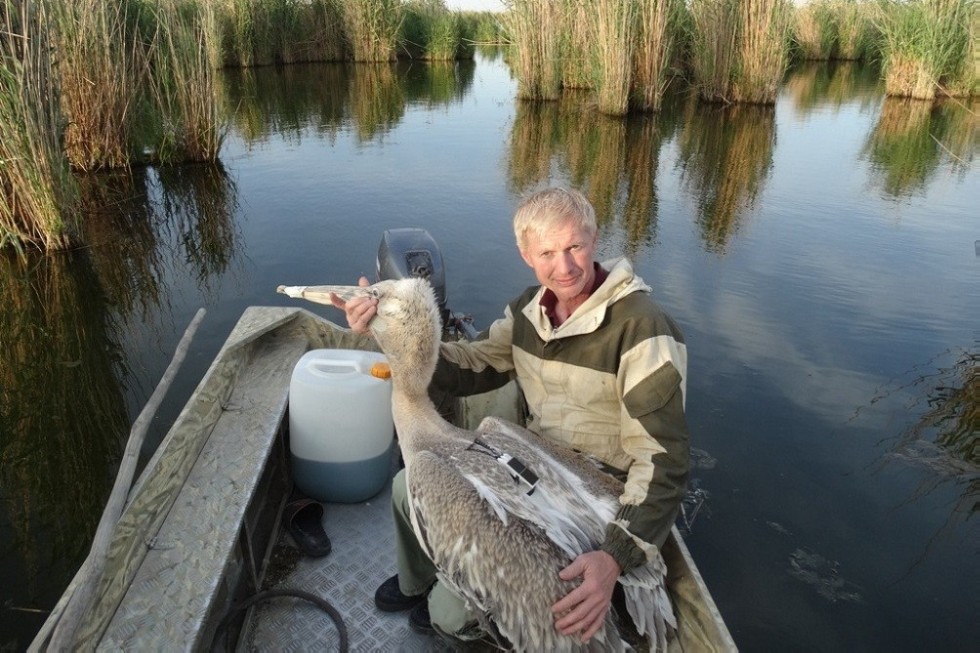 ��������� ����������� ��������� ��� �������� �� ���������� � ��������