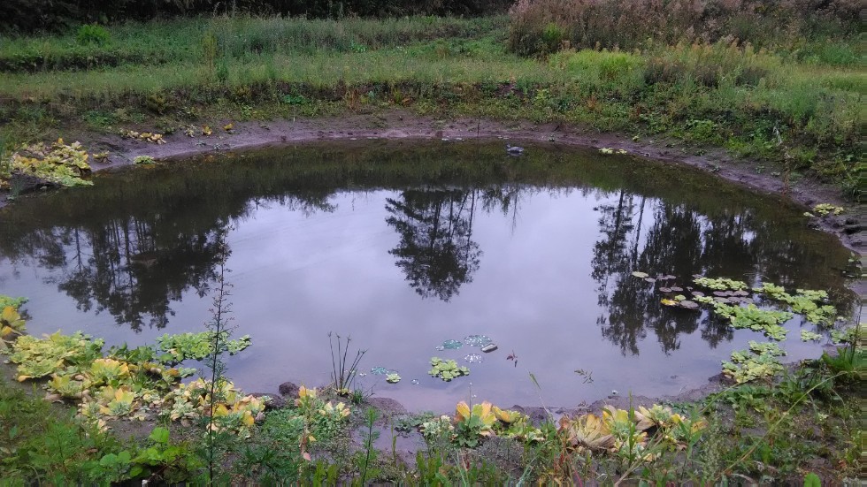 ���������� ��������