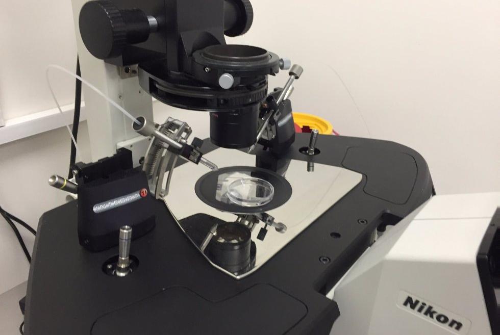 �������� ��� ����������� � ���������� ����������� ������ �������