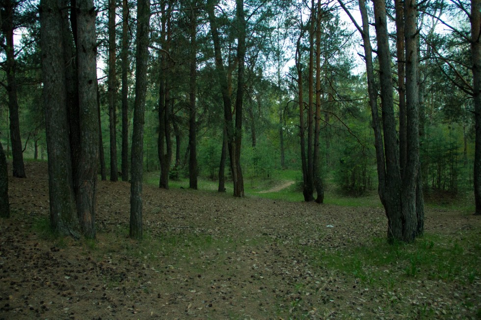 Студенты НЧИ КФУ приняли участие в конкурсе 'Образ России в объективе' Студенты НЧИ КФУ приняли участие в конкурсе 'Образ России в объективе'