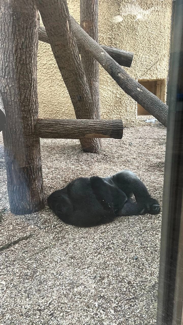 Практические занятия по дисциплине 'Окружающий мир' Практические занятия по дисциплине 'Окружающий мир'