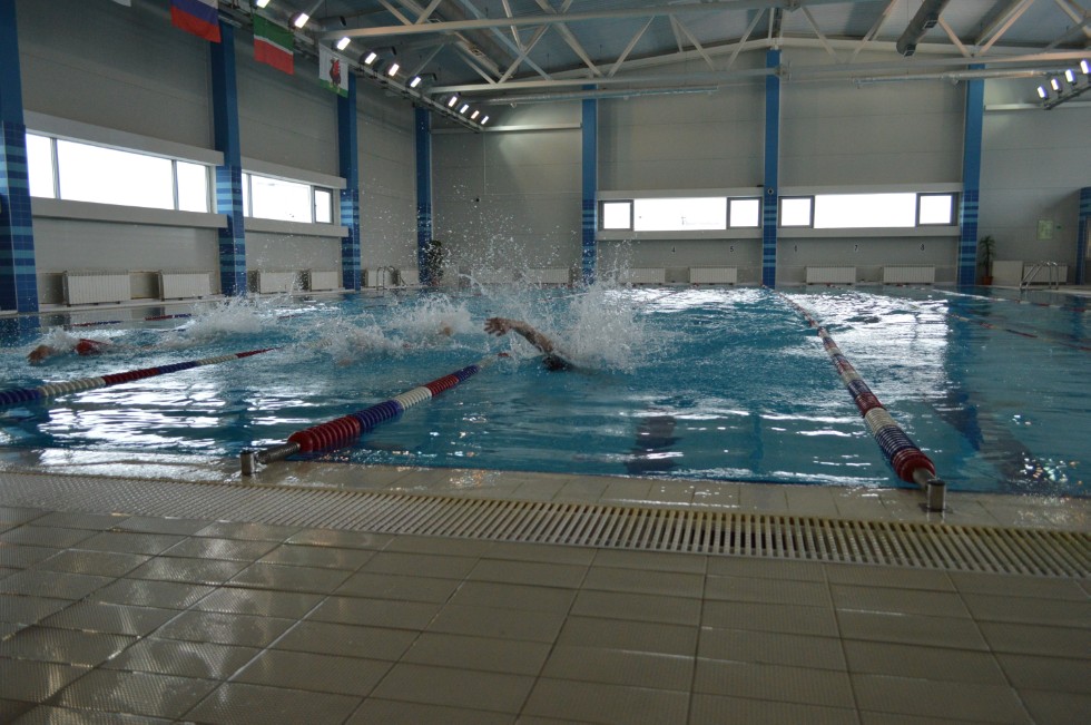 � �������� ���� - �������� ���