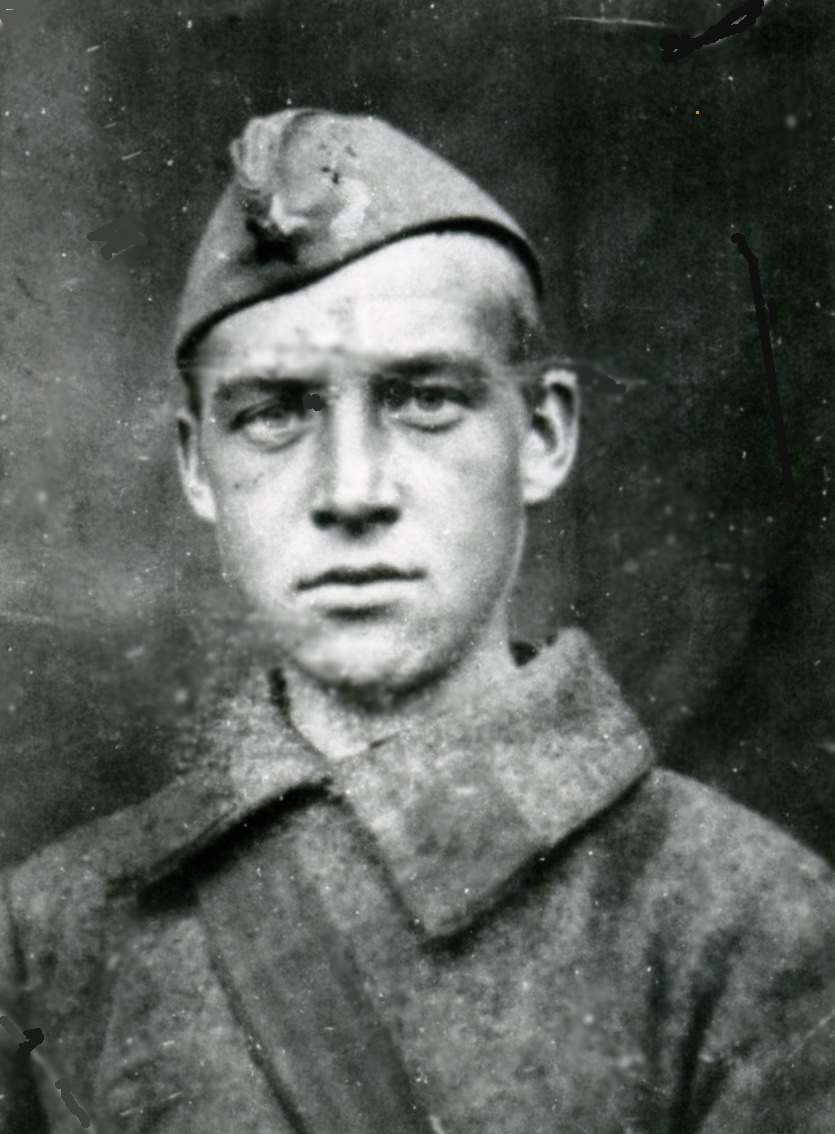 ������� ������ �����������