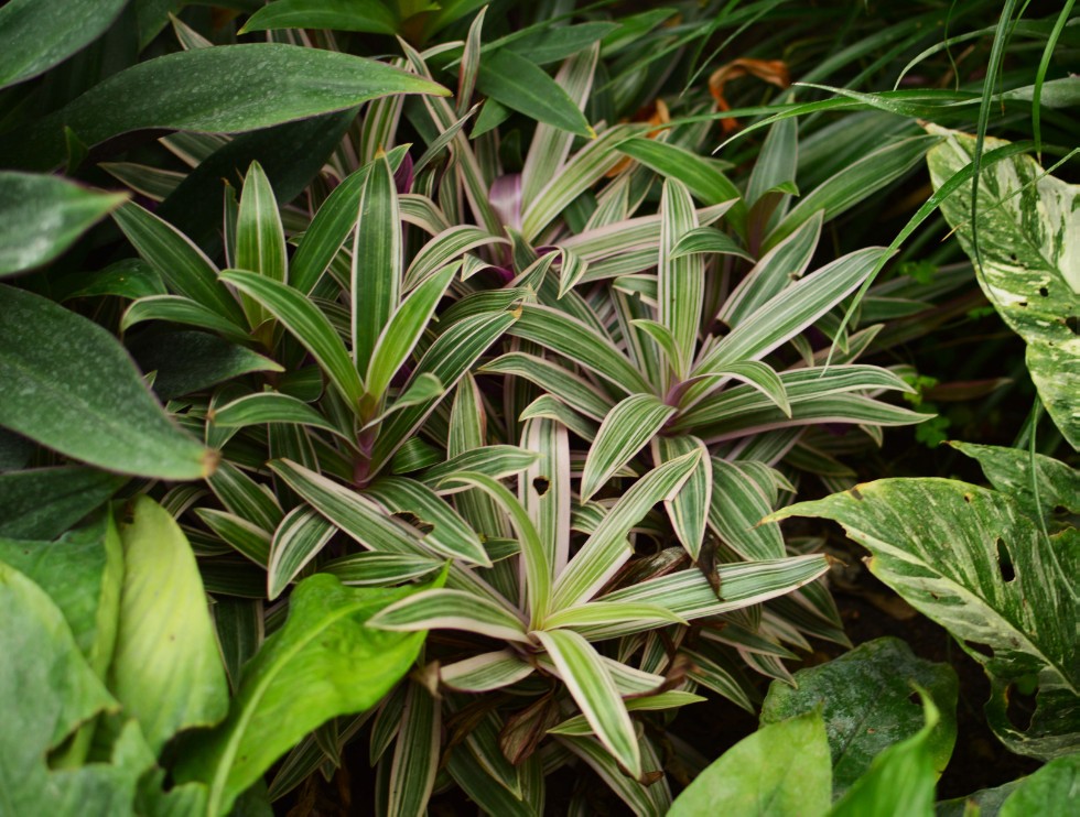 ���������� ��������