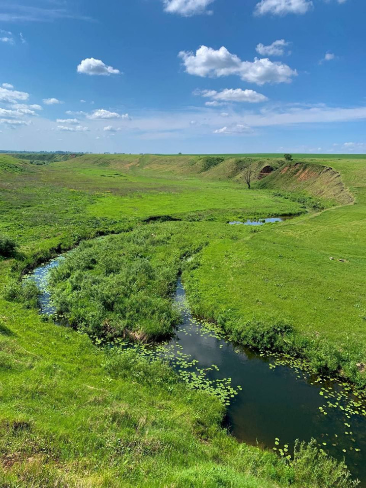 ��� ������������ ��� � ������ ����������. 30 �� ������ ��������. 16 ���������� �� ������, ������ � ���������.