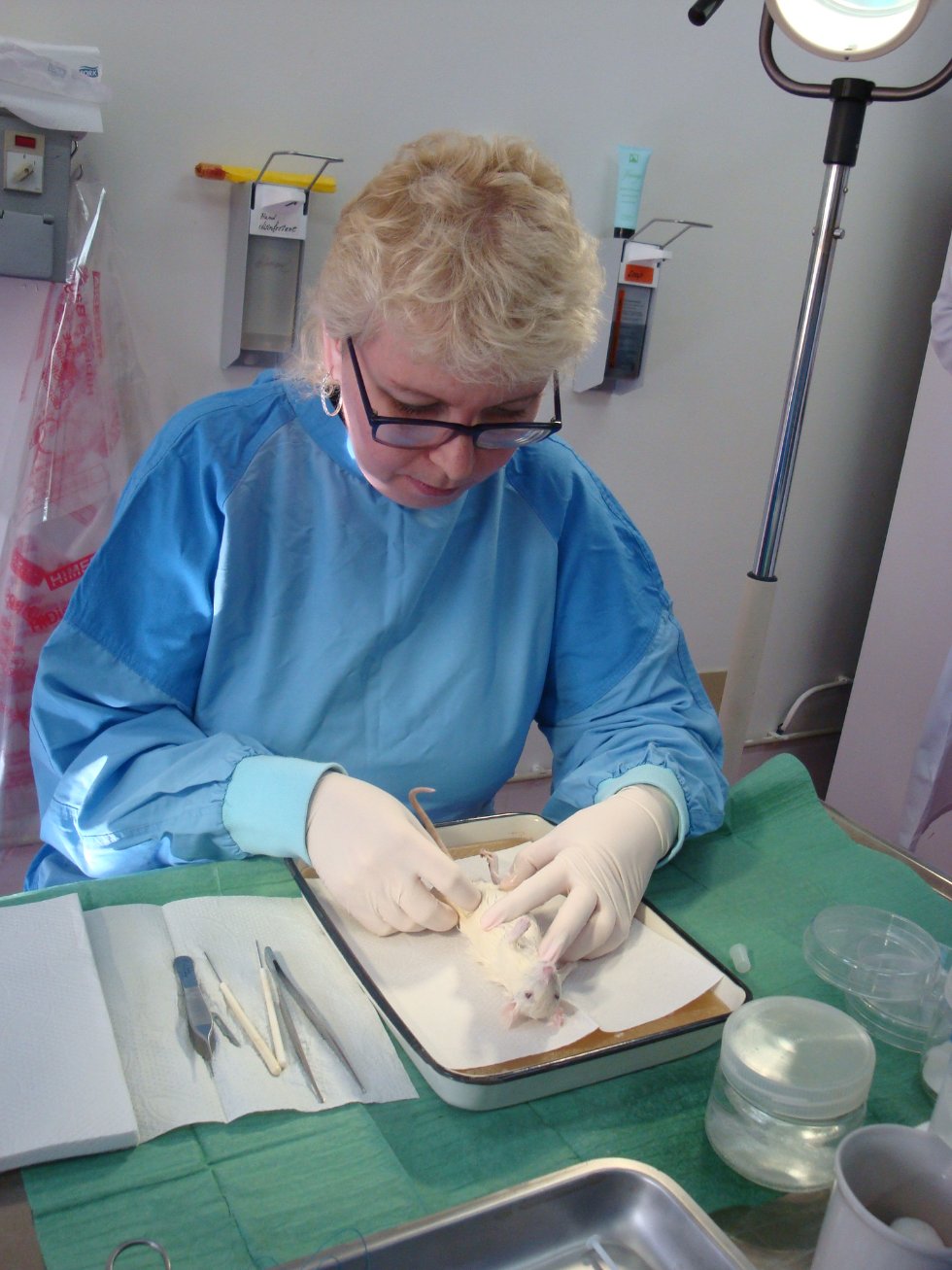 '� �������� ����� ������� ���, �� ������ �� ��� ����������� ���� � ���������'������ ������������ ���������