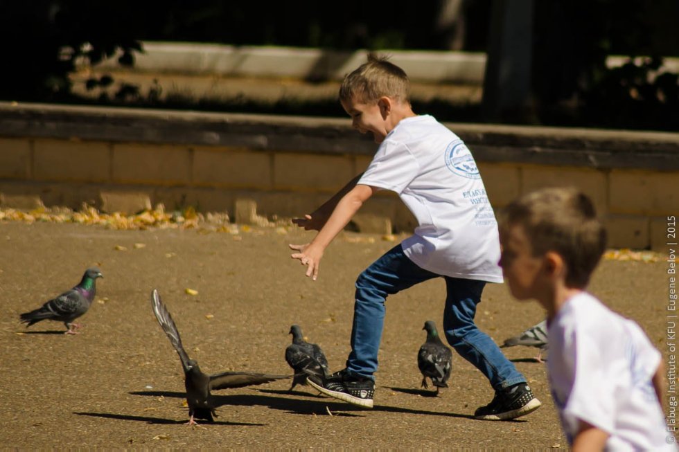 Всероссийский фестиваль школьных учителей в Елабуге Всероссийский фестиваль школьных учителей в Елабуге