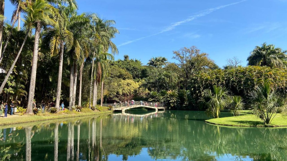 '��� � ������ ���� �����'. ����� 1.