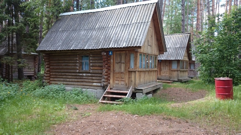 ������-2018