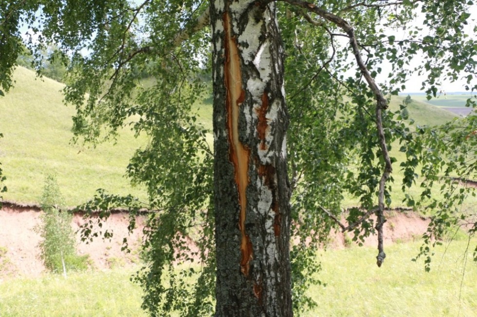 ������ ��� ������� ��������� �����