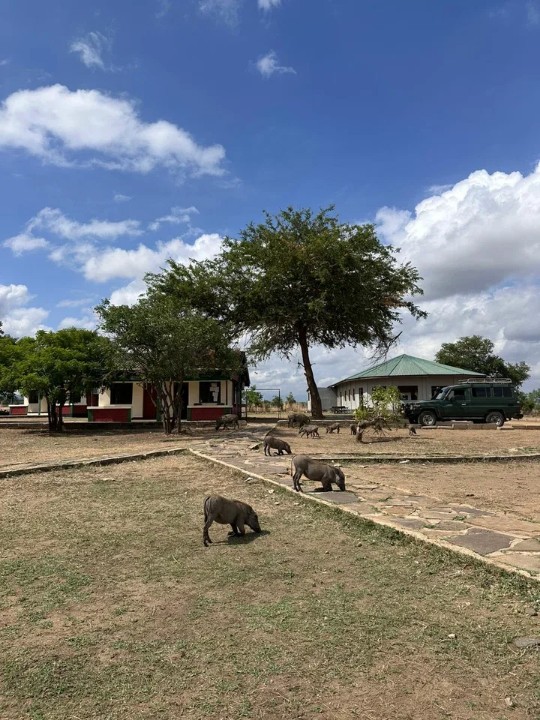 ��������� ����������� ��� ��������� �������� �������� ������ ������ �������� ���������� � ��������