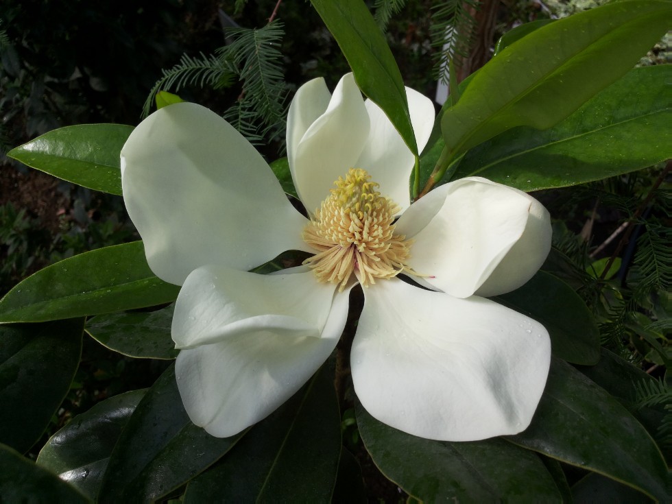 ���������� ��������