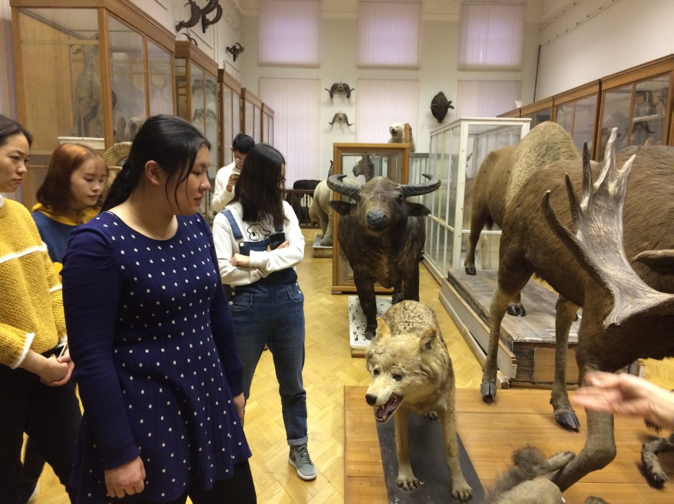 ����� ? ���, � ������ �������, ����������!