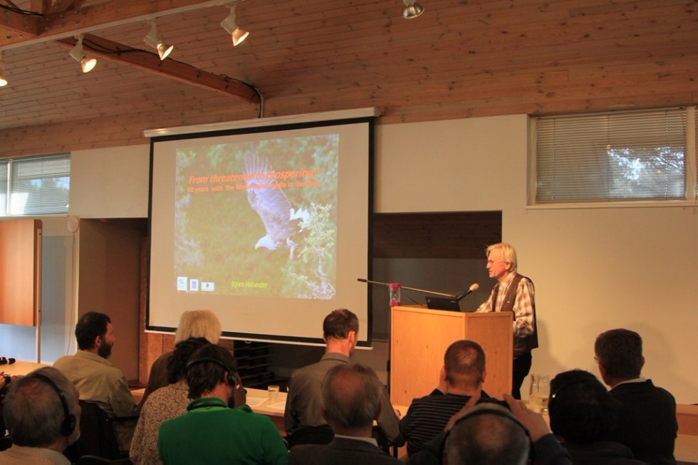 �� ����������� '�����-��������� 2017' � ������� �������� ������ ����������� ��������� ���