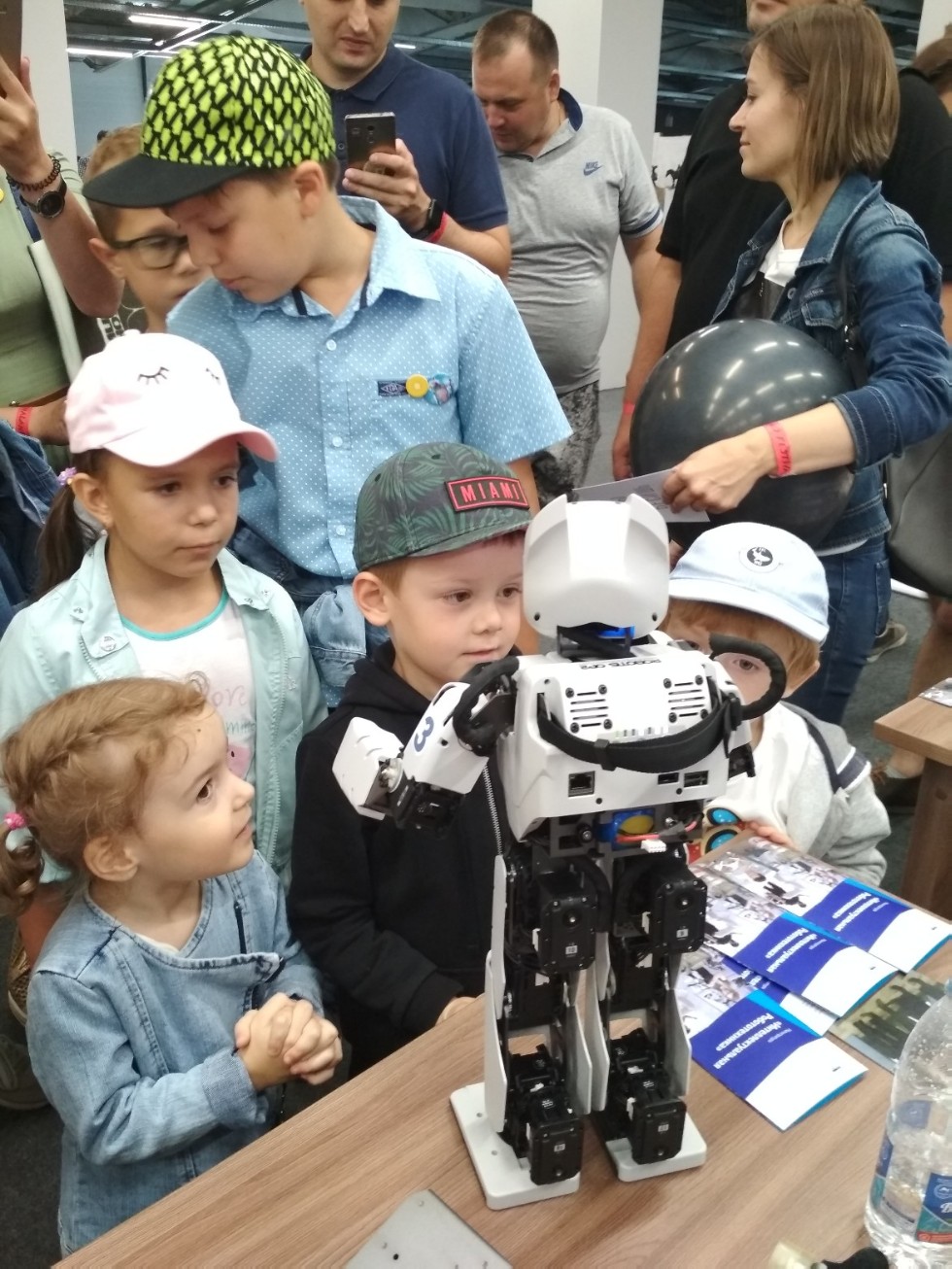 ������ ����� ���� ������� ������� � ��������� ��������� 'Arenaland'